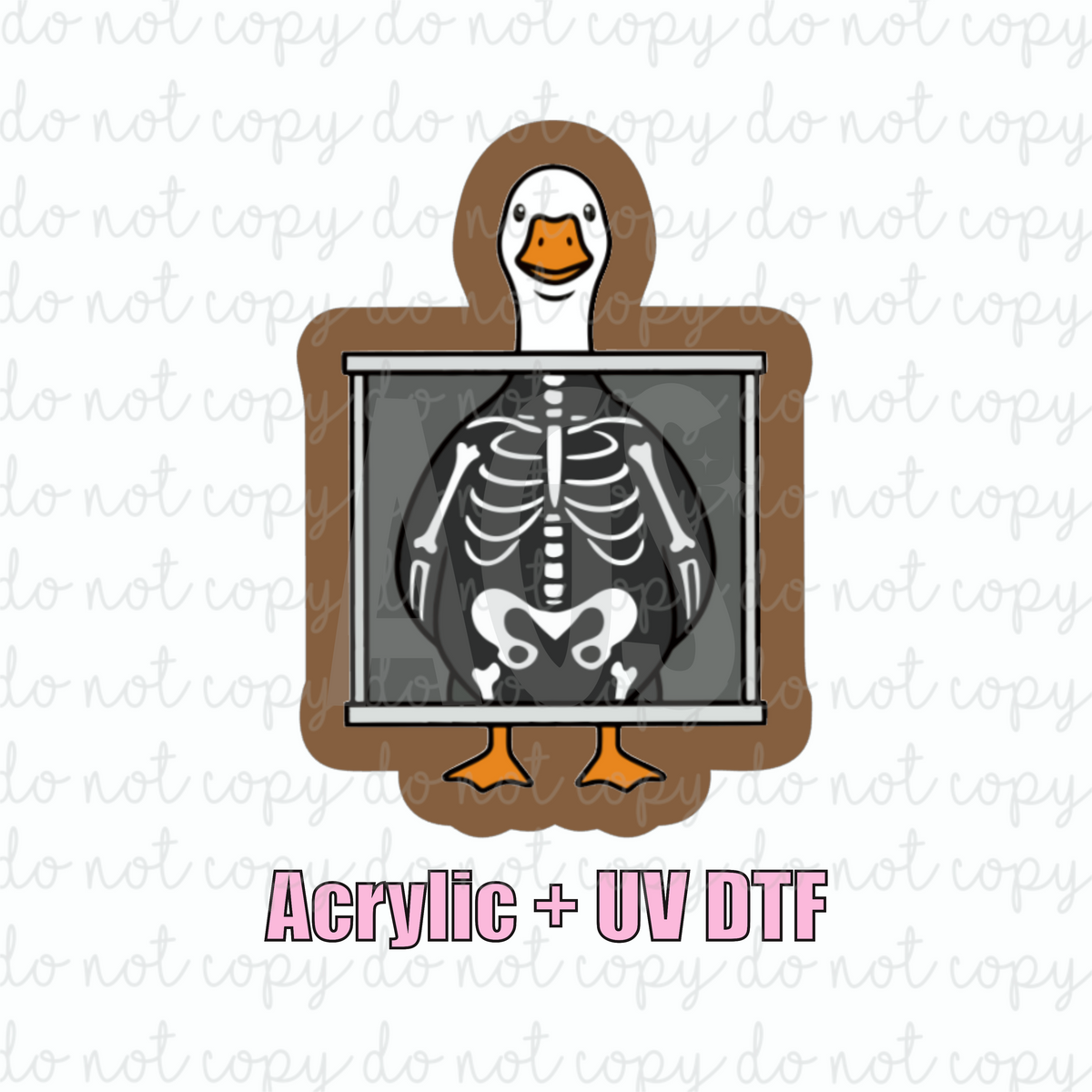 ACRYLIC + UVDTF B9 Goose X-Ray