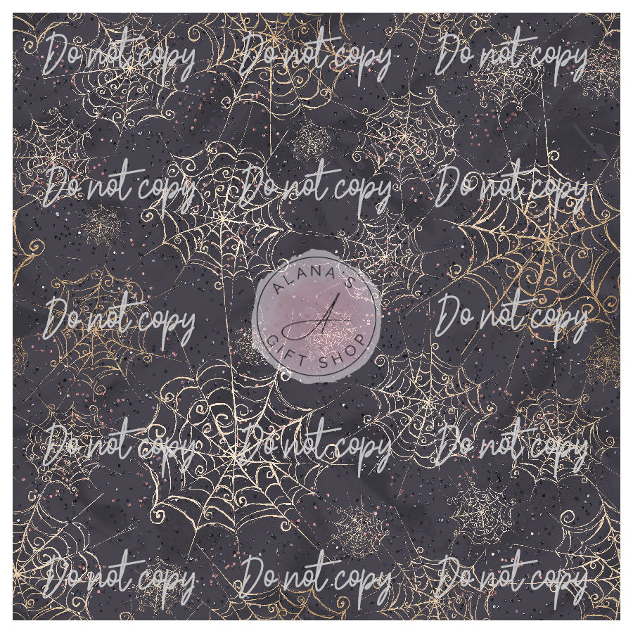 0290 Cute Spider Webs