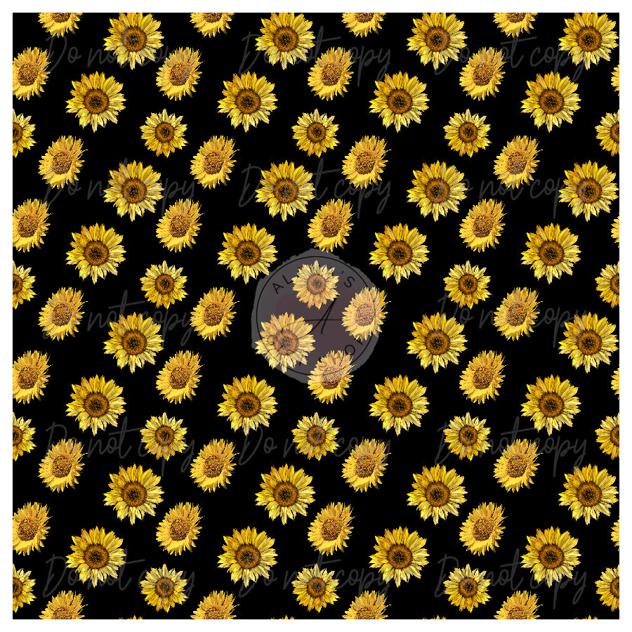 037 Sunflower Black Background