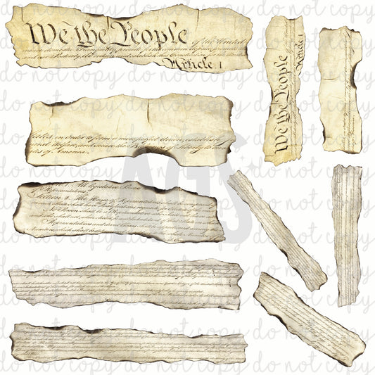 VINYL ELEMENT SHEETS 003 We The People