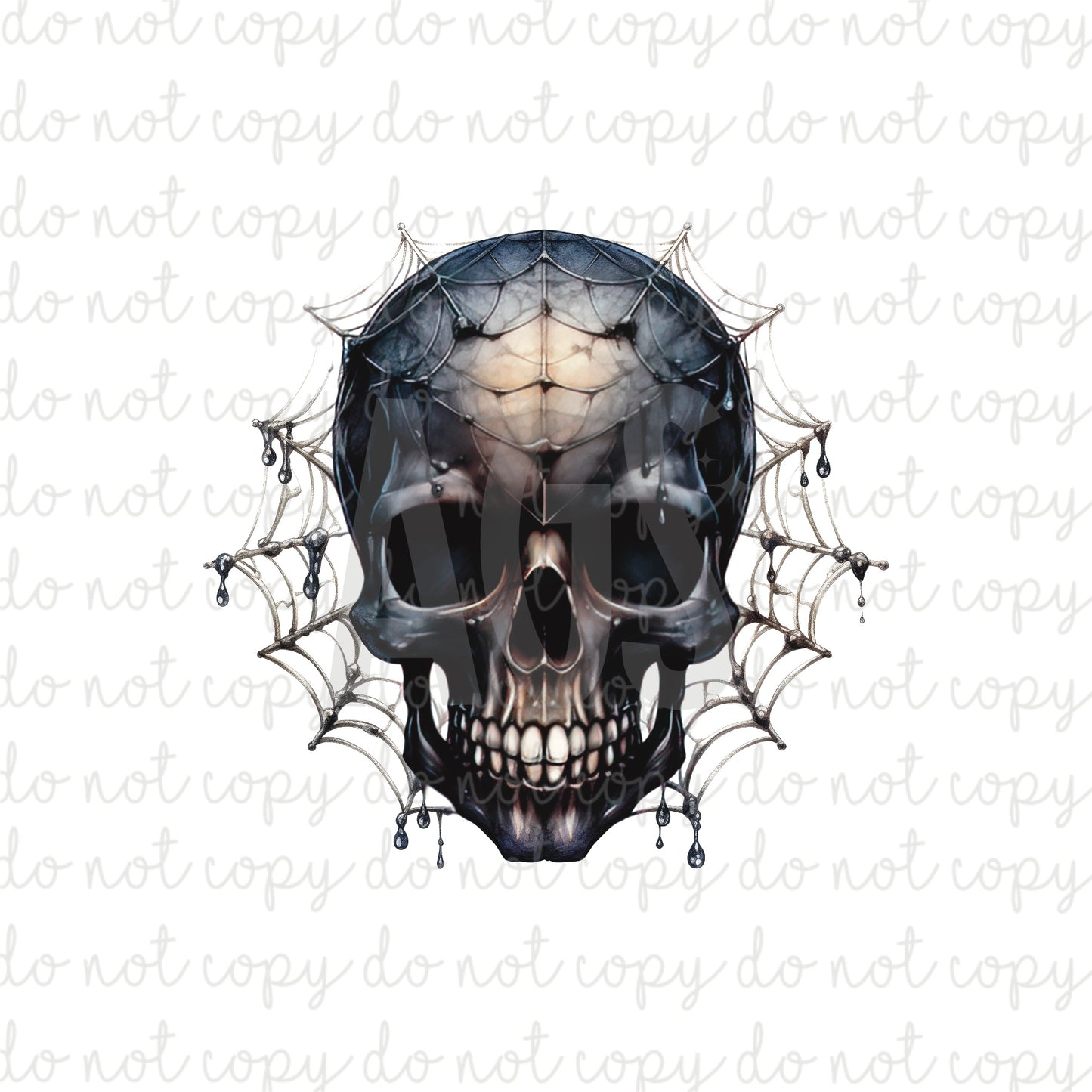 DECAL 121 Spiderweb Skull