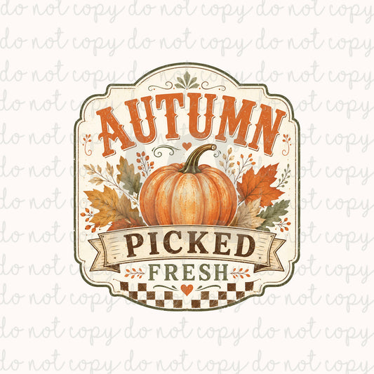 DECAL 267 Autumn Picked Fresh Label