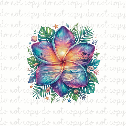 DECAL 204 Tropical Sunset