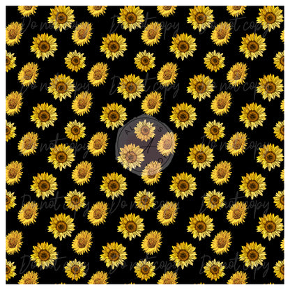 037 Sunflower Black Background