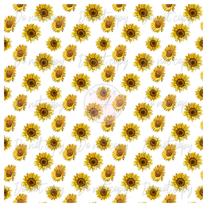 038 Sunflower White Background